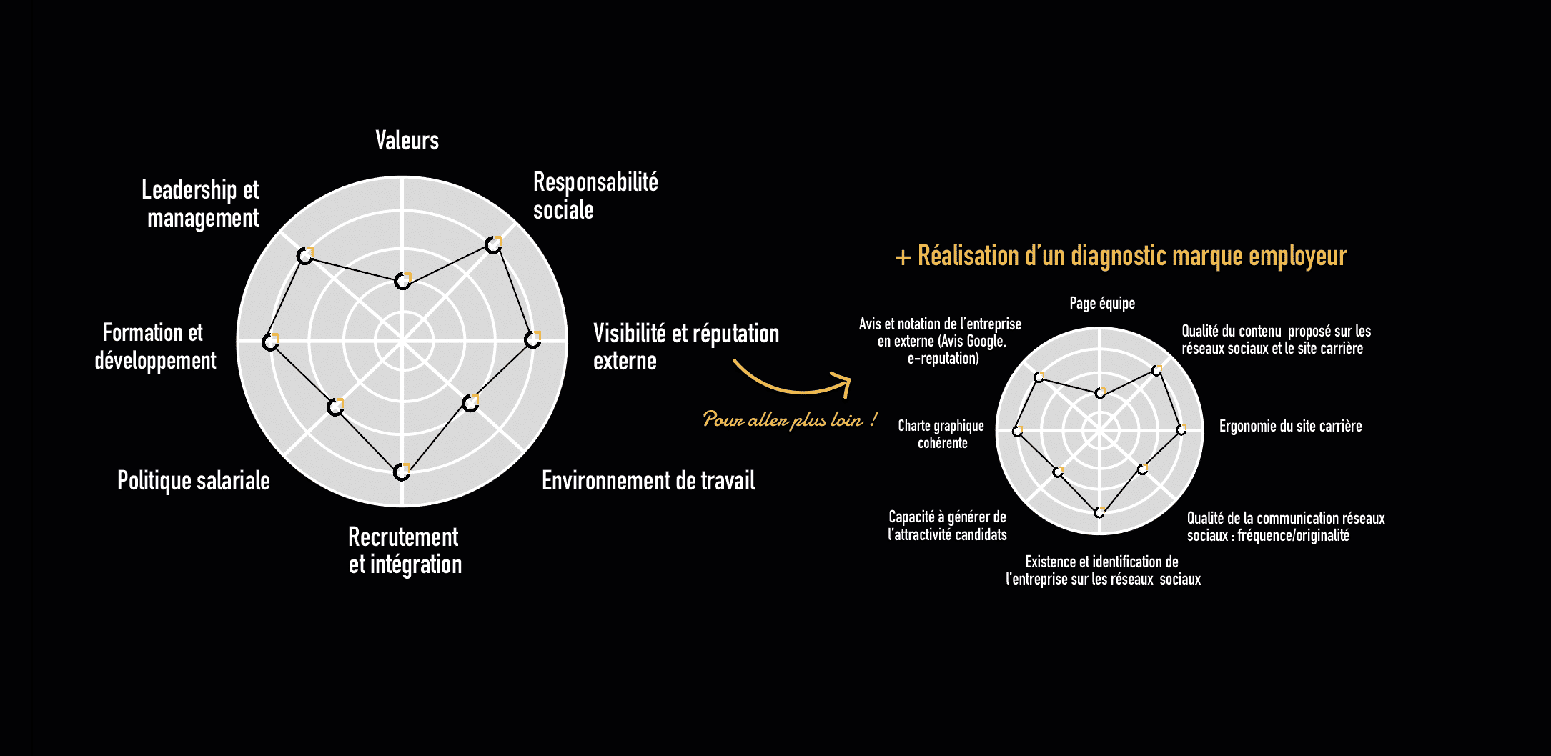 Diagrammes du diagnostic de marque employeur.